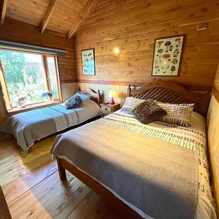 Hostal Pucon Sur Exterior foto